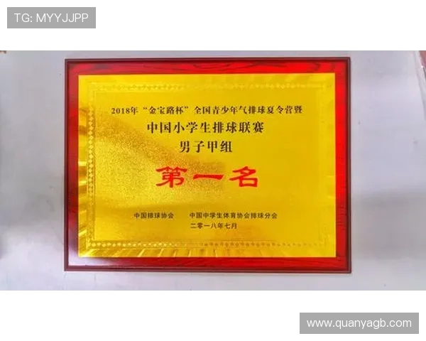 重庆排球队实力强劲排球个人能力排行榜揭晓第5名荣誉